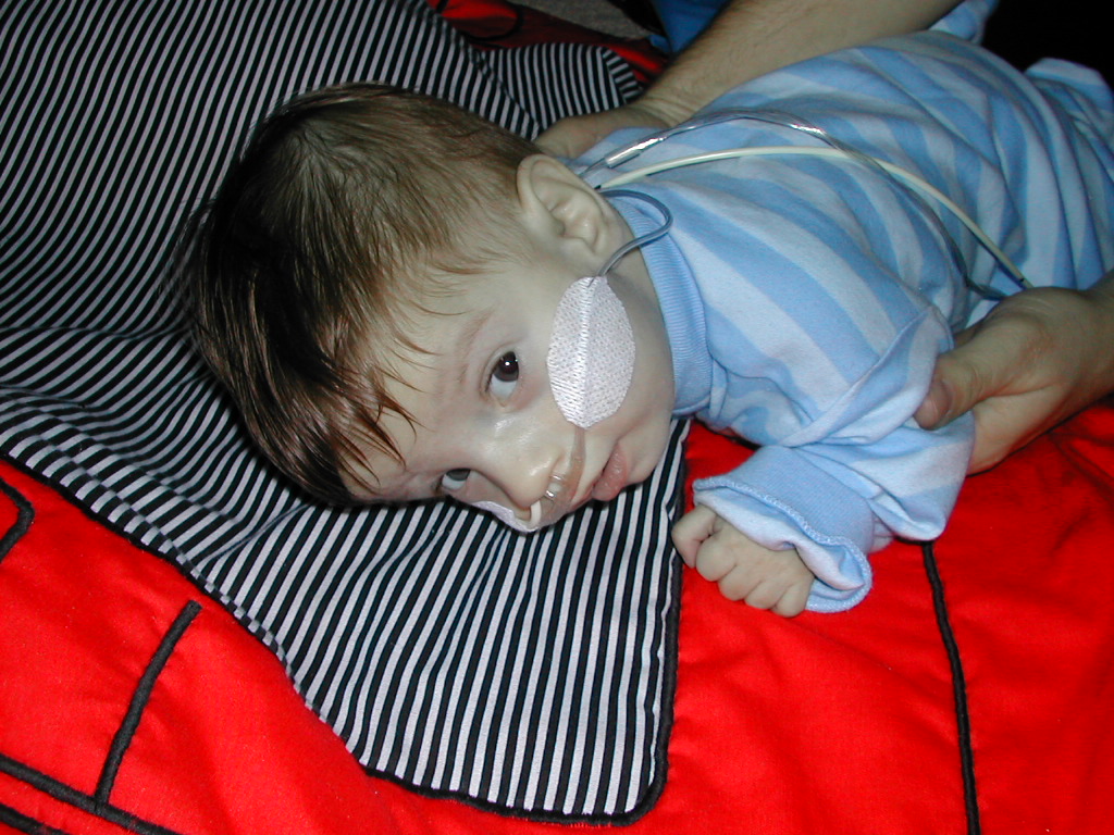 1002x745 pixels (289K)